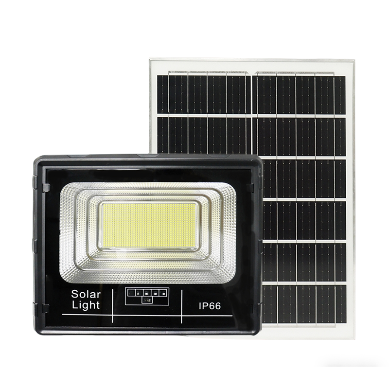 Starlight - Image 12