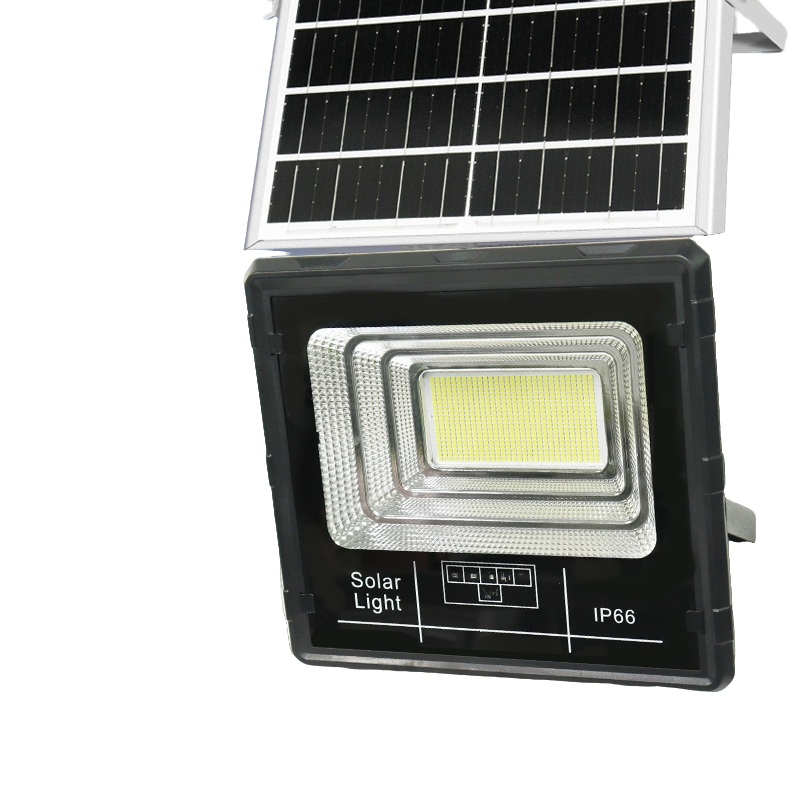 Starlight - Image 11