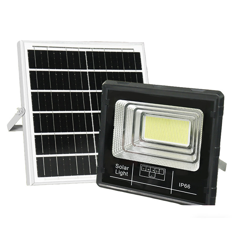 Starlight - Image 10