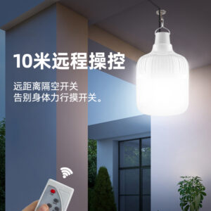 Bulb Light (or Globe Bulb Light)